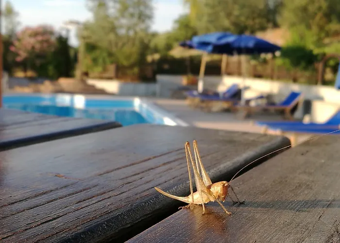 Agriturismo Cornieto