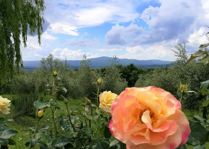Agriturismo Cornieto